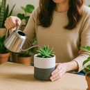 D'vine Dev Set of 2 Plants Pots, 3.5 Inch Ceramic Planter Pot for Plants with Drainage Hole and Saucer, White/Speckled Grey, 94-V-A-6 by GreenHaven Gardens