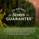 O.M. Scott and Sons Tall Fescue Blend Grass Seed, Fertilizer and Soil Improver, Naturally Crowds Out Weeds, Covers Up to 2,000 sq. ft., 8 lbs., 2-Pack by GreenHaven Gardens