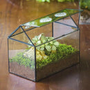 NCYP Glass Terrarium with Lid and Air Holes for Snails, Succulents Plants, Small Cactus - 10.2" x 5.9" x 8.2" House Shape Geometric Clear Box, Indoor Tabletop Decor Black (Terrarium Only) by CozyNest Decor