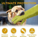 HANDLANDY Animal Handling Gloves, Bite Proof Cat Gloves, Ideal for Rose Pruning, Gardening, Falconry, Pet Grooming (Ginger yellow, 16 Inches) by GreenHaven Gardens