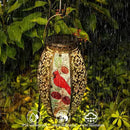 Solar Lanterns Outdoor Hanging Light - Cardinal Solar Powered LED Glass Lights Decorative Waterproof Tabletop Lamp with Hollowed-Out Design for Yard Table Patio Garden Pathway Holiday by GreenHaven Gardens