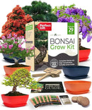 Bonsai Tree Kit - Gifts for Men & Women (Master Kit) by GreenHaven Gardens