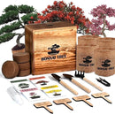 Bonsai Garden Starter Kit, 4 Seeds Growing into Sakura, Ginkgo, Black Pine, Red Flame, Including Complete Gardening Tools & A Wooden Box with Cover, Christmas Gifts for Men Women Beginners by GreenHaven Gardens