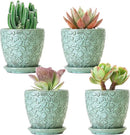 Succulent Planter for Indoor Plants, 4 Inch Small Ceramic Plant Pot with Drainage Holes and Saucers, Flower Pots for herb - Set of 4 by CozyNest Decor