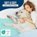 Utopia Bedding Waterproof Mattress Protector King Size, Premium Terry Mattress Cover 200 GSM, Breathable, Fitted Style with Stretchable Pockets (Spa Blue) by TinyTreasures Baby Boutique