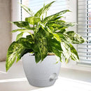 12/10/9 inch Large Self Watering Pots, Plant Pots with Mesh Drainage Holes for Indoor Outdoor Garden Plants, Flower Pots with Deep Reservoir, Set of 3 Plastic Planters, Specked White by CozyNest Decor