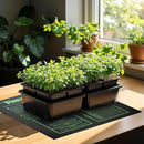 iPower 20"x20.75" Seedling Heat Mat with Built-in Temperature Controller, MET Certified Waterproof Plant Heating Pad, for Germination, Breeding, Brewing by GreenHaven Gardens