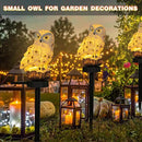 Dazzle Bright 2 Pack Owl Figure Solar LED Lights, Resin Garden Waterproof Decorations with Stake for Outdoor Yard Pathway Outside Patio Lawn Decor to Scare Birds Away, Gifts for Women, Owl Lovers by GreenHaven Gardens