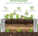 Land Guard 6×3×2 ft Galvanized Metal Raised Garden Bed, 2FT Deep Root Elevated Planter Box Steel Large Vegetable Flower Bed Kit（Silver）
