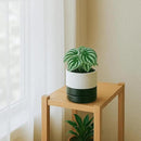 D'vine Dev 4.6 Inch Ceramic Planter Pot with Drainage Hole and Saucer, Indoor Cylinder Round Planter Pot, Layered Monochrome Black & White, 94-O-B-L by GreenHaven Gardens