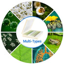 100 Prepared Microscope Slides with Specimens for Kids Adults - Bacterium, Fungus, Human Tissues, Mitosis, Plants, Insects, Animals Cells Samples for Biological Science Lab, School Students by TinyTreasures Baby Boutique