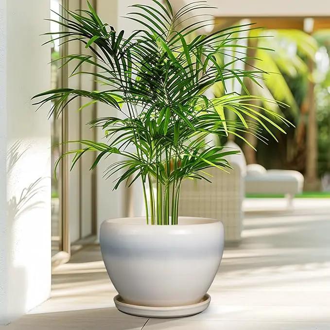 10 Inch Ceramic Planter Pot - Large Plant Pot with Drainage Hole and Saucer Round Flower Pot for Indoor Plants, White, photo 6 of 7
