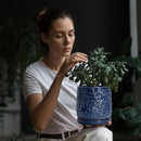 D'vine Dev 6 Inch Embossed Leaves Stoneware Planter Pot with Drainage Hole and Saucer, Midnight Blue, 27-A-X-3 by GreenHaven Gardens