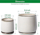 D'vine Dev 8 Inch 6 Inch Ceramic Indoor Planter Pots with Drainage Hole and Saucer, Beaded Design Flower Pots, Set of 2, Smoked White, 27-D-P-1 by GreenHaven Gardens