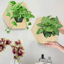 Hexagonal Wooden Wall Planter, Self Watering Living Vertical Planters Indoor, Wooden Frame Planter Wall Decoration Home Office 2pc by CozyNest Decor