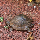 Key Hider Outdoor Turtle Cast Iron Hidden Spare Key Holder Outside Garden Indoor Decoration by GreenHaven Gardens