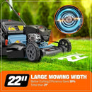 SENIX LSSG-H2 22-Inch Self Propelled Gas Lawn Mower with 163 cc 4-Cycle Engine, 3-in-1 Rear Wheel Drive Variable Speed Lawnmower, 6-Position Height Adjustment by GreenHaven Gardens