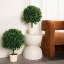 Premium 16" Diameter Artificial Japanese Boxwood Topiary – Set of 2 Faux Plants in Beige Decorative Planters – Realistic, UV-Resistant, Weatherproof Outdoor & Indoor Décor by GreenHaven Gardens
