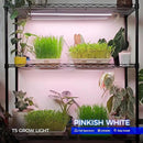 Barrina T5 Grow Lights for Indoor Plants, Full Spectrum Grow Light, 2ft 80W (8 x 10W), Plant Lights for Indoor Plants Growing, Pinkish White, 8-Pack by GreenHaven Gardens