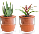 D'vine Dev 4 Inch Design Self Watering Pot for Indoor Plants, Terracotta Planter with Cylinder Glass Cup, Set of 2, 37-X-A-2 by GreenHaven Gardens