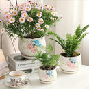 Ceramic Plant Pots with Drainage Holes and Saucers, Round Flower Pots for Indoor Plant, 3.9/5.2/6.7 Inches Flower Large Planters Set of 3 by CozyNest Decor