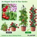 2 Pack Garden Obelisk Trellis for Climbing Plants Outdoor, 6.6FT Tall Rustproof Plant Trellis Climbing Plant Support, Garden Tower Trellis for Potted Plant Flowers Vegetable Vine Indoor by GreenHaven Gardens