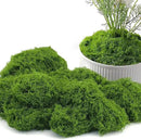 Potanro Faux Green Moss 5.3oz Artificial Fake Plant Moss for Potted Plants Indoor, Crafts, Planters, Bonsai Artifcial, DlY Floral Decorative Moss, Fairy Garden Wedding Table Centerpieces Decor by CozyNest Decor