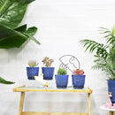 Gepege Succulent Pots, 4 Inch Small Indoor Ceramic Planter Pot with Drainage Holes and Saucers for Plants- Blue - Set of 4 by GreenHaven Gardens