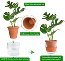 D'vine Dev 6 Inch Design Self Watering Pot for Indoor Plants, Terracotta Planter with Cylinder Glass Cup, 37-X-B-1 by GreenHaven Gardens