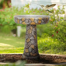 SKYFIRE Stone Like Outdoor Bird Bath - Concrete Freestanding Patio Birdbath with Pedestal for Garden, Patio, Yard, Lawn - 18.8”L X 18.8”W X 24”H Rustic Faux Stone Pedestal Outdoor Garden Birdbaths by GreenHaven Gardens
