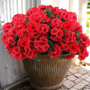 Hananona 6 Bundles Artificial Geranium Flowers for Outdoors Silk Geranium Flowers Outdoor UV Resistant Garden Plants Faux Flower for Home Kitchen Table Centerpieces Decor (6, Red) by CozyNest Decor