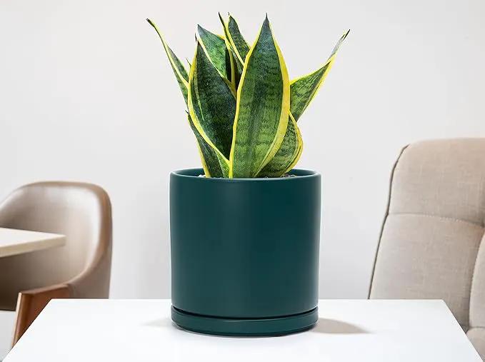 D'vine Dev 8 Inch Ceramic Planter Pot with Drainage Hole and Saucer, Indoor Cylinder Round Planter Pot, Teal, 94-O-D-9, photo 2 of 7