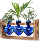 Lifecapido Heart Shaped Propagation Stations, Plant Terrarium with Wooden Stand, Plant Propagation Station for Hydroponics Plants Office Garden Home Decor, Gifts for Women Plant Lover (3 Vases, Blue) by GreenHaven Gardens