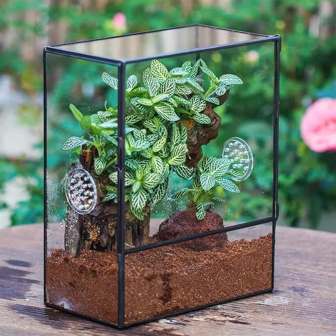 NCYP Glass Terrarium with Front Opening Door and 3 Vents for Insects, Snail, Spider, Glass Enclosure - 8"x4.5"x10" Clear Closed Plant Greenhouse Box (Terrarium Only), photo 3 of 7