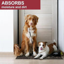 Floor Mat - for Indoor and Outdoor Use - Doormat - Non-Slip - Front Door Shoe Scraper - Size: 17x29 by CozyNest Decor