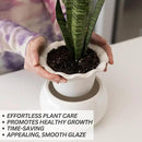 African Violet Pots 6 Inches Ceramic, Effortless Self Watering Pots for Indoor Plants for Busy Plant Lovers, Easy Plant Self Watering Pot, Plant Pots, Flower Pot, Plant pots Indoor by GreenHaven Gardens
