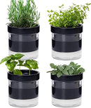 Phoenix Vine 4 Inch Self Watering Planter Pot, Black Terracotta Clay Pot with Glass Reservoir for Indoor Plants, Herbs, Flowers, Set of 4, 52-C-E-4 by GreenHaven Gardens