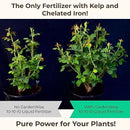 10-10-10 Fertilizer for All Purpose Plants - Liquid Fertilizer with Seaweed Kelp & Iron - Plant Food Outdoor & Indoor Plant Food, Vegetables, Flowers, Lawn & Garden 10 10 10 Fertilizer 32oz
