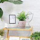 6 Inch Retro Ceramic Planter Set of 2 with Drainage Hole and Saucer for Plants, Indoor-Outdoor Garden Pots for Succulent, Orchid, and Flower (Fits Inner Pots Up to 5 Inches, Retro Peach) by CozyNest Decor