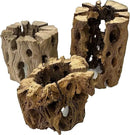 3 Natural Cholla Wood Air Plant Display Holders Individually Unique Round Decorative Stands (3 Pack Cholla Rounds) by GreenHaven Gardens