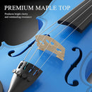 4/4 Beginner Violin Kit for Adults, Complete Full Size Violin Set with Portable Case, Bow, Rosin, Dark Blue by TinyTreasures Baby Boutique