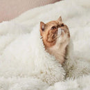 Bedsure GentleSoft Fluffy Cream Throw Blanket Decorative Blankets for Bed Couch Sofa, Cream Decor Sherpa Fleece Soft Cozy Fuzzy Plush Thick Warm Faux Fur Decorations, Ivory Baby Girl Gifts, 50x60 by CozyNest Decor