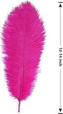 THARAHT Hot Pink Ostrich Feathers 12pcs Large Natural Bulk 12-14Inch 30cm-35cm for Wedding Party Centerpieces Easter Gatsbi and Home Decoration Feathers by CozyNest Decor