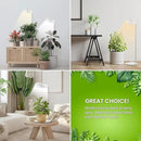 Grow Lights for Indoor Plants, 80 LEDs Full Spectrum Plant Lights for Indoor Growing with 2 Mounting Options, 6H 12H 16H Timer, 3 Spectrum Modes, 37 in Height Adjustable Grow Lamp, 2 Pack by GreenHaven Gardens