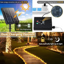 98FT Waterproof 300LEDs Solar Rope Lights, Type C Charging, Remote-Controlled, for Outdoor Pathway Pool Patio Party Garden Yard Palm Tree Holidays (Brighter - Warm White) by GreenHaven Gardens