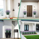 36Pcs Artificial Grass Plants, Faux Shrubs Wheat Grass, Artificial Tall Grass Fake Plants for Outdoor Decor,Artificial Greenery Stems Weed for Room Indoor Home Decor（Green Purple Tail） by GreenHaven Gardens