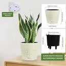 Dexceder 11x10 Inches Self Watering Planter Indoor Outdoor, Inner Pot Design, Thickened Table Flower Plant Pot with Water Level Indicator (White Gold Crackle) by GreenHaven Gardens