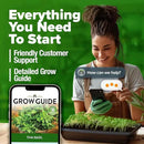 HOME GROWN Thai Basil Seeds Pack - 438 High Germination 𝗡𝗢𝗡-𝗚𝗠𝗢 𝗨𝗦𝗔 Heirloom Herb Seeds for Planting,Ideal for Growing Fresh Basil Planting Indoor or Outdoor(Ocimum basilicum var.thyrsiflora) by GreenHaven Gardens
