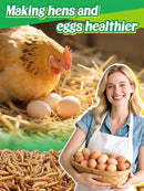 Mealworms Chicken Treats 2 Lbs with Handle Packing, High-Protein Promote Egg Production, Natural Chicken Feed for Laying Hens Wild Birds Ducks by GreenHaven Gardens