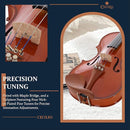 Cecilio 1/4 Violin Solidwood Violin with D'Addario Prelude Strings, Bow, Rosin, Tuner, Shoulder Rest & Lesson Book – Ideal for Beginners by TinyTreasures Baby Boutique
